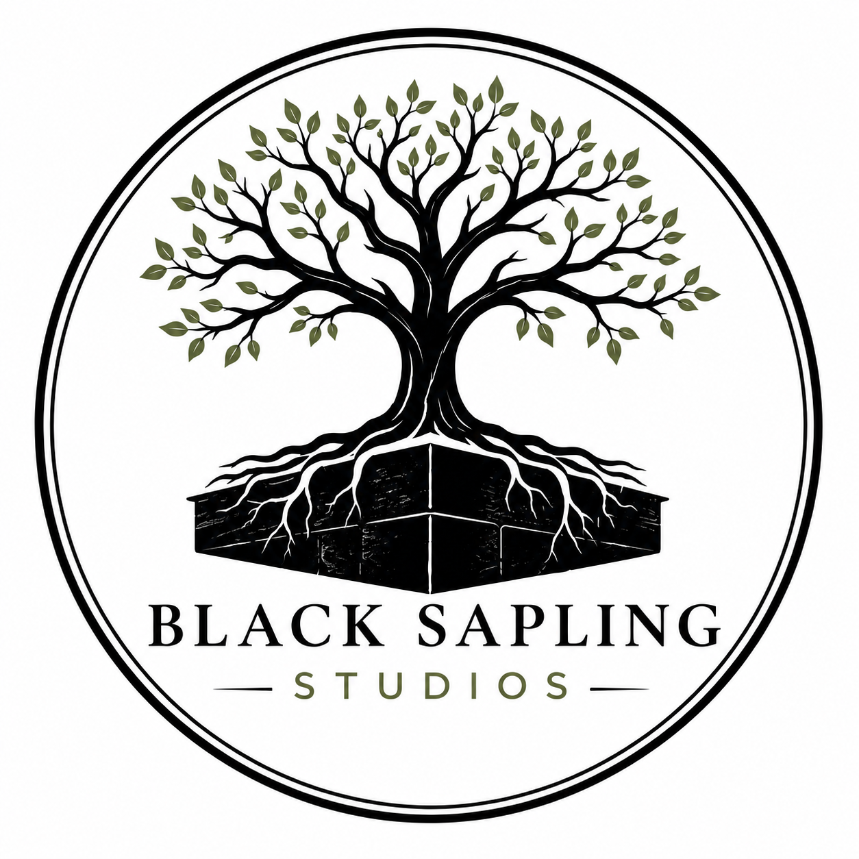 Black Sapling Studios